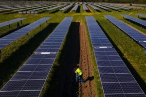 Beyond the Grid: How Agrivoltaics Are Cultivating a Greener Future (And Powering Your EV!)